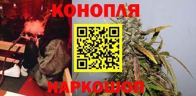 Альфа ПВП Надым