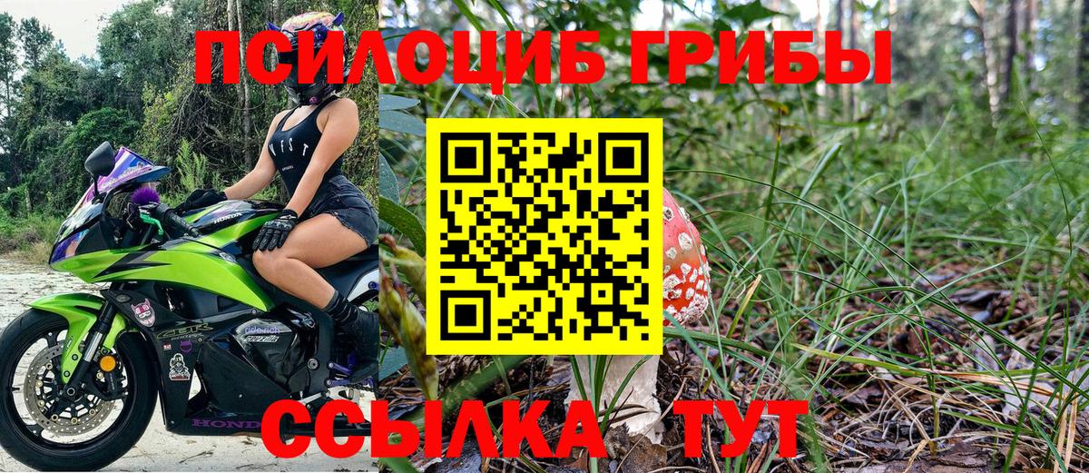 Елец  что такое наркотик  Вход с VPN  Псилоцибиновые грибы мухоморы 