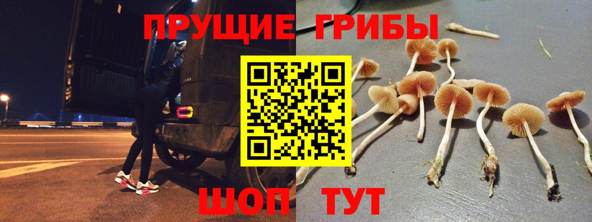 Псилоцибиновые грибы ЛСД Елец